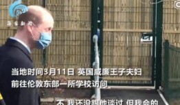 不锈钢夫妇最新爆料,揭秘娱乐圈背后的惊人真相！